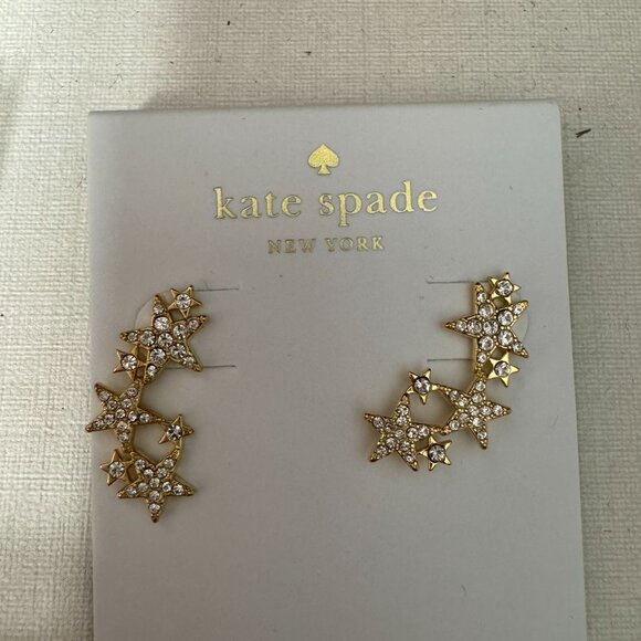 6 Pair Earrings Bundle - Kate Spade and Betsey Johnson - Picture 9 of 16